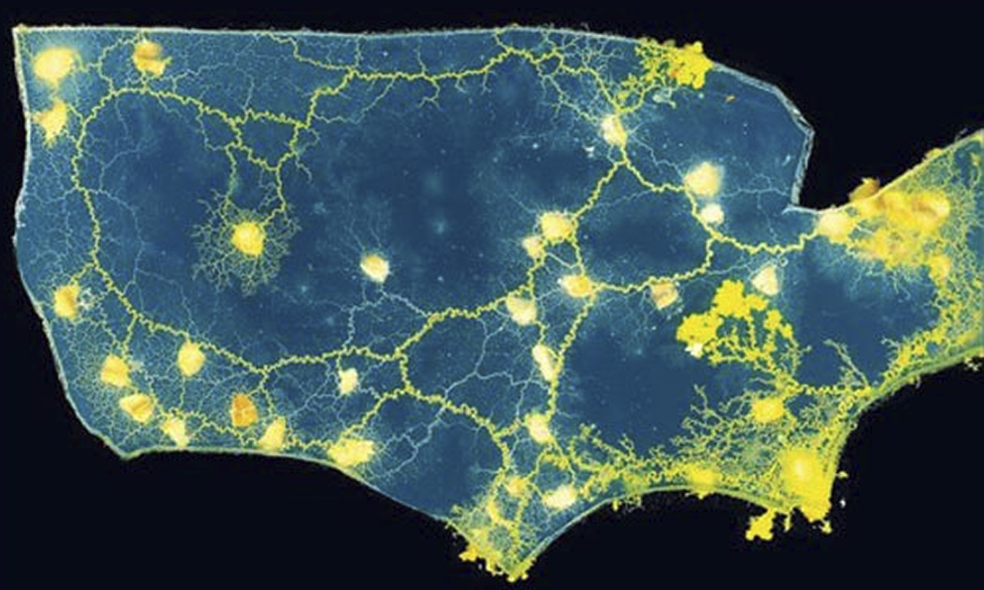 Slime-mould-maps-the-US-r-014
