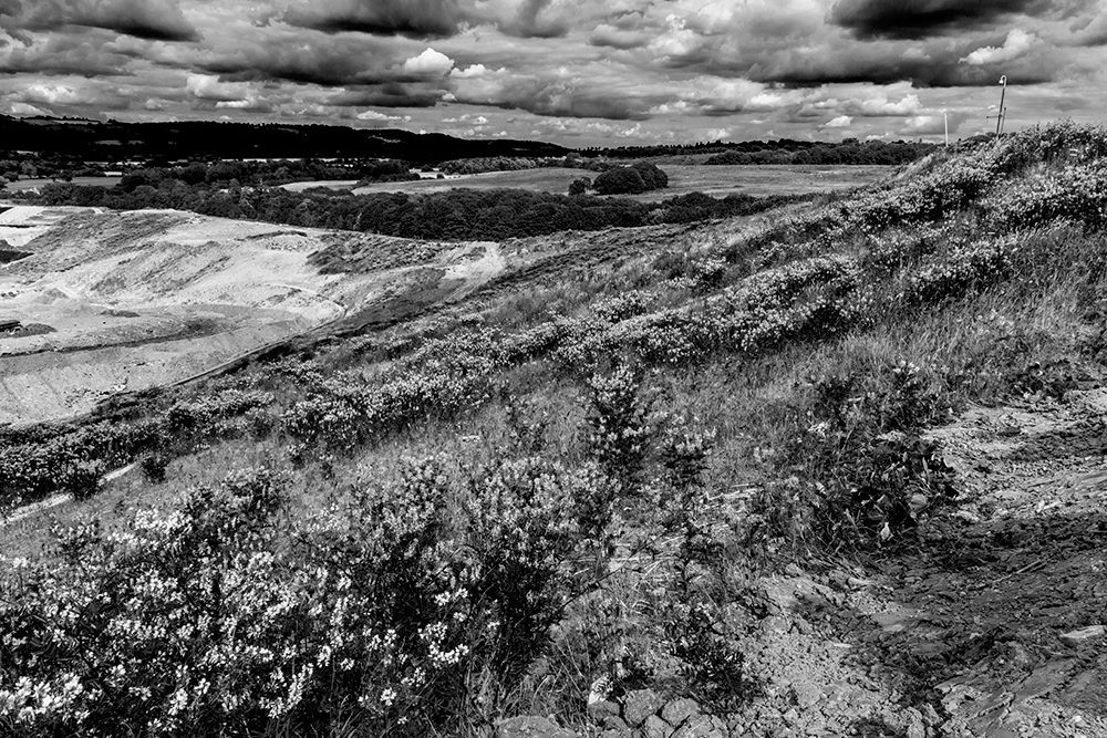 Redhill Landfill Site