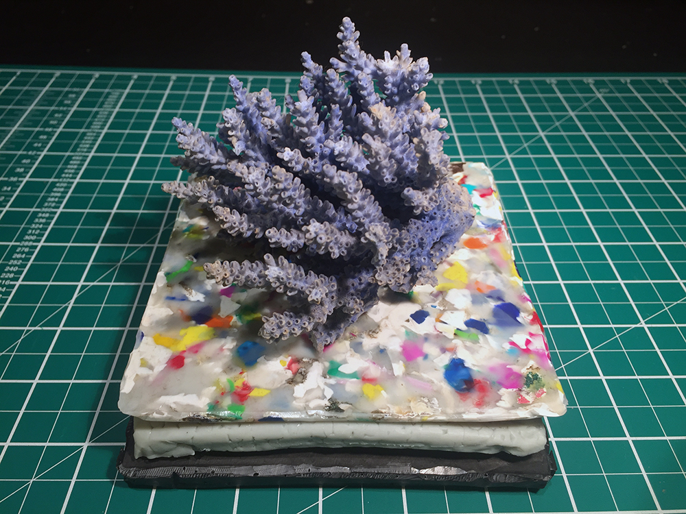 Plastic Tiles & Coral
