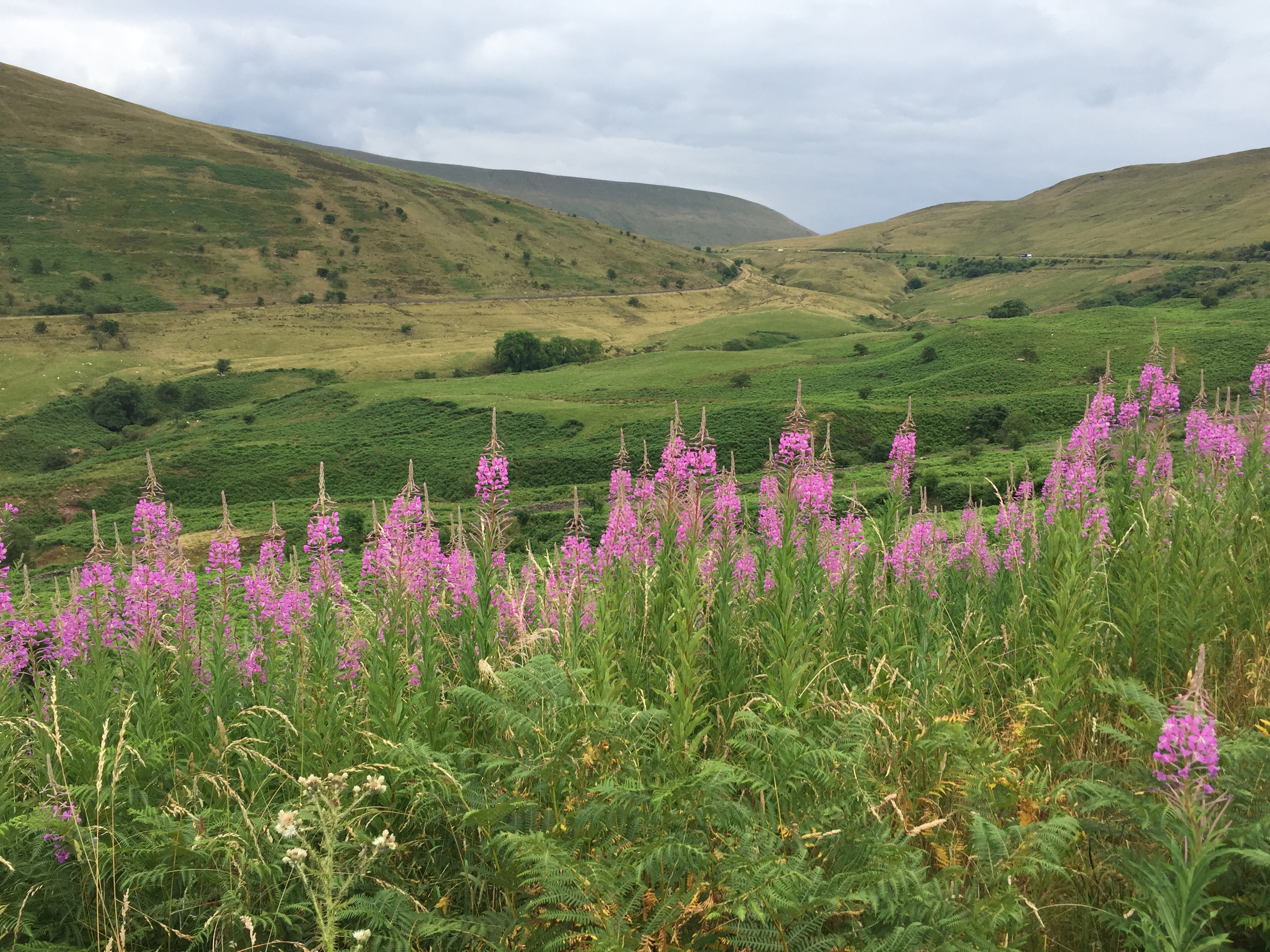 Brecon Beacons